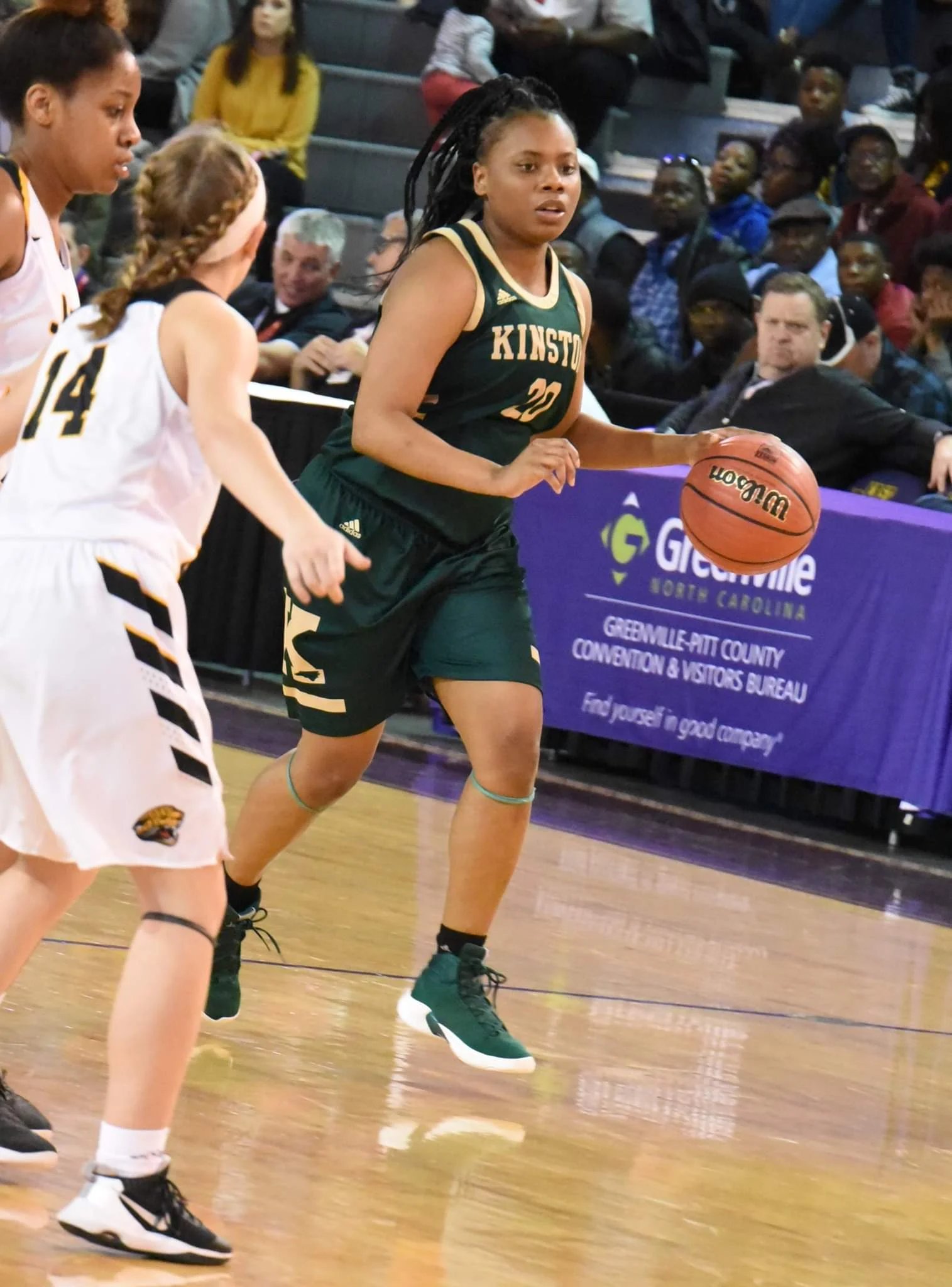 The All-Neuse News girls' basketball team
