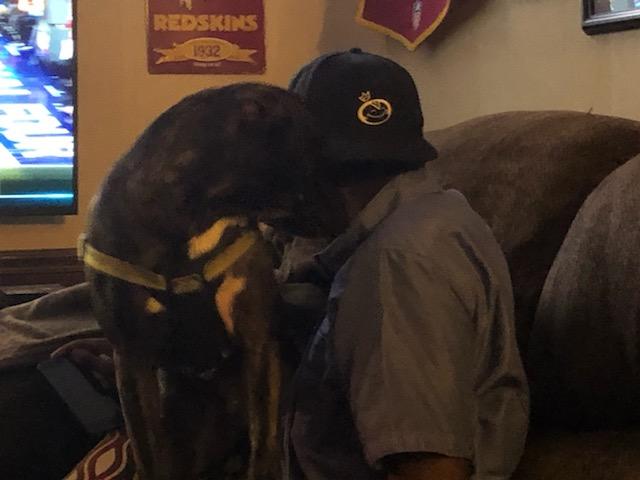 No means no, puppy! Photo by Bryan C. Hanks / Neuse News