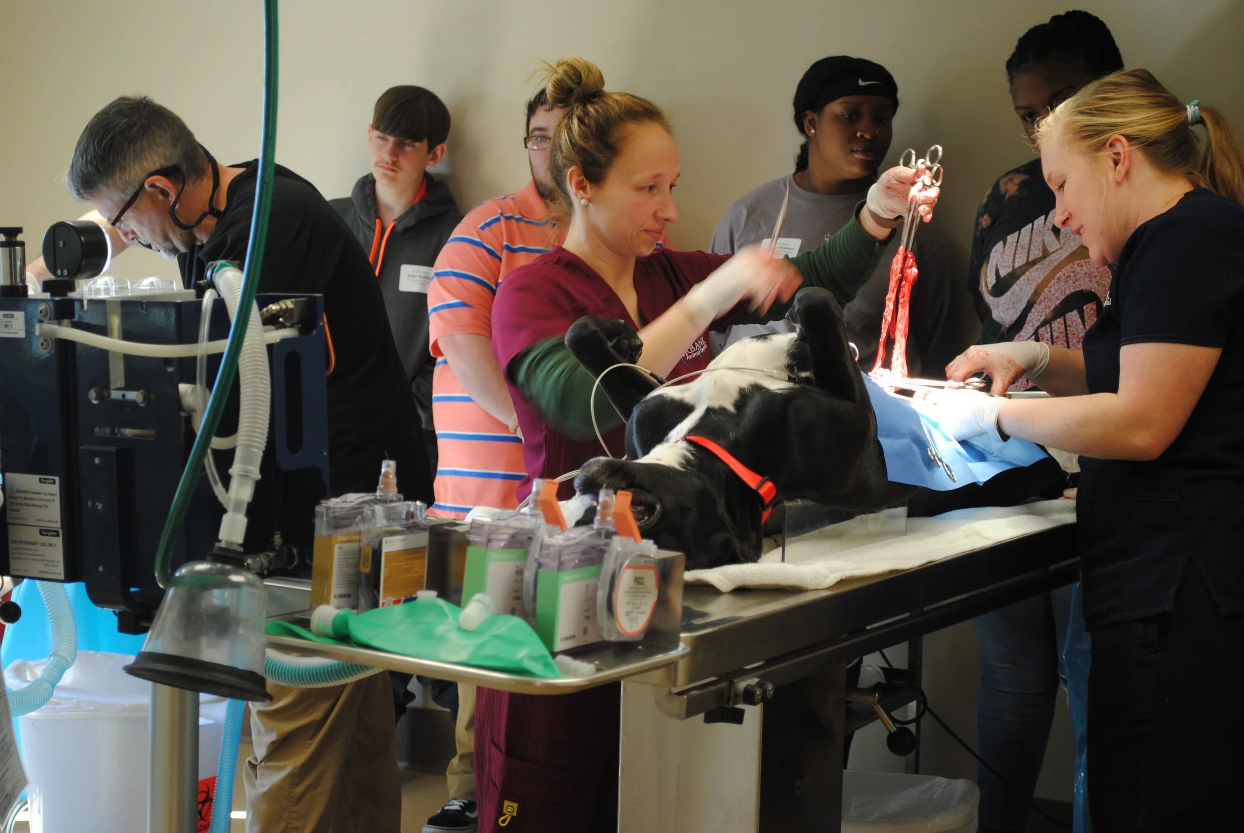 LCPS students explore career paths through job shadowing program