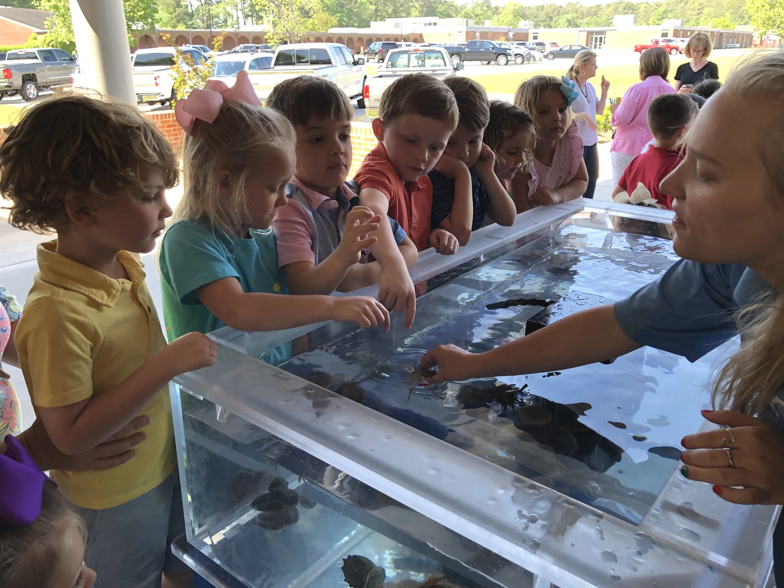 APA's littlest hands dip into aquarium visit