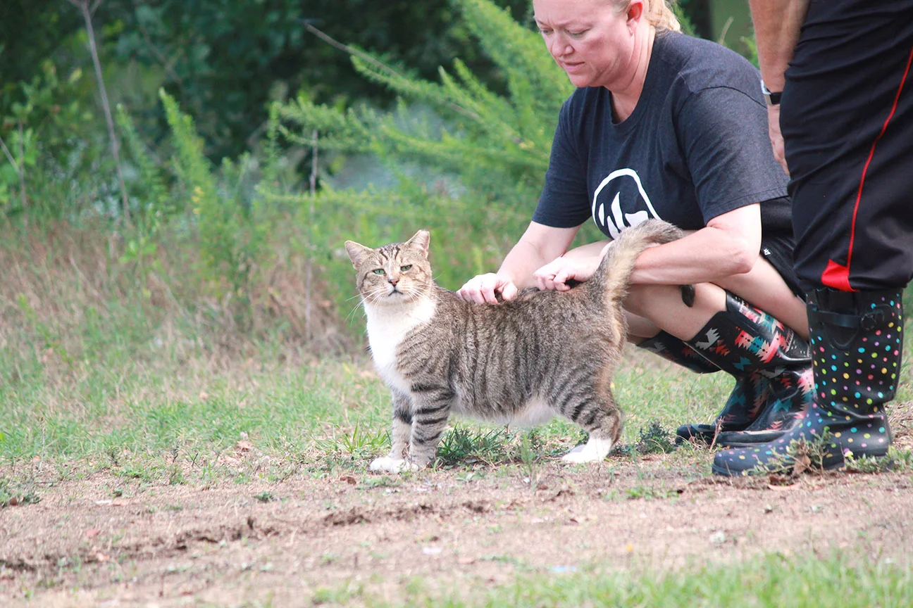 Photo by Linda Whittington / Neuse News