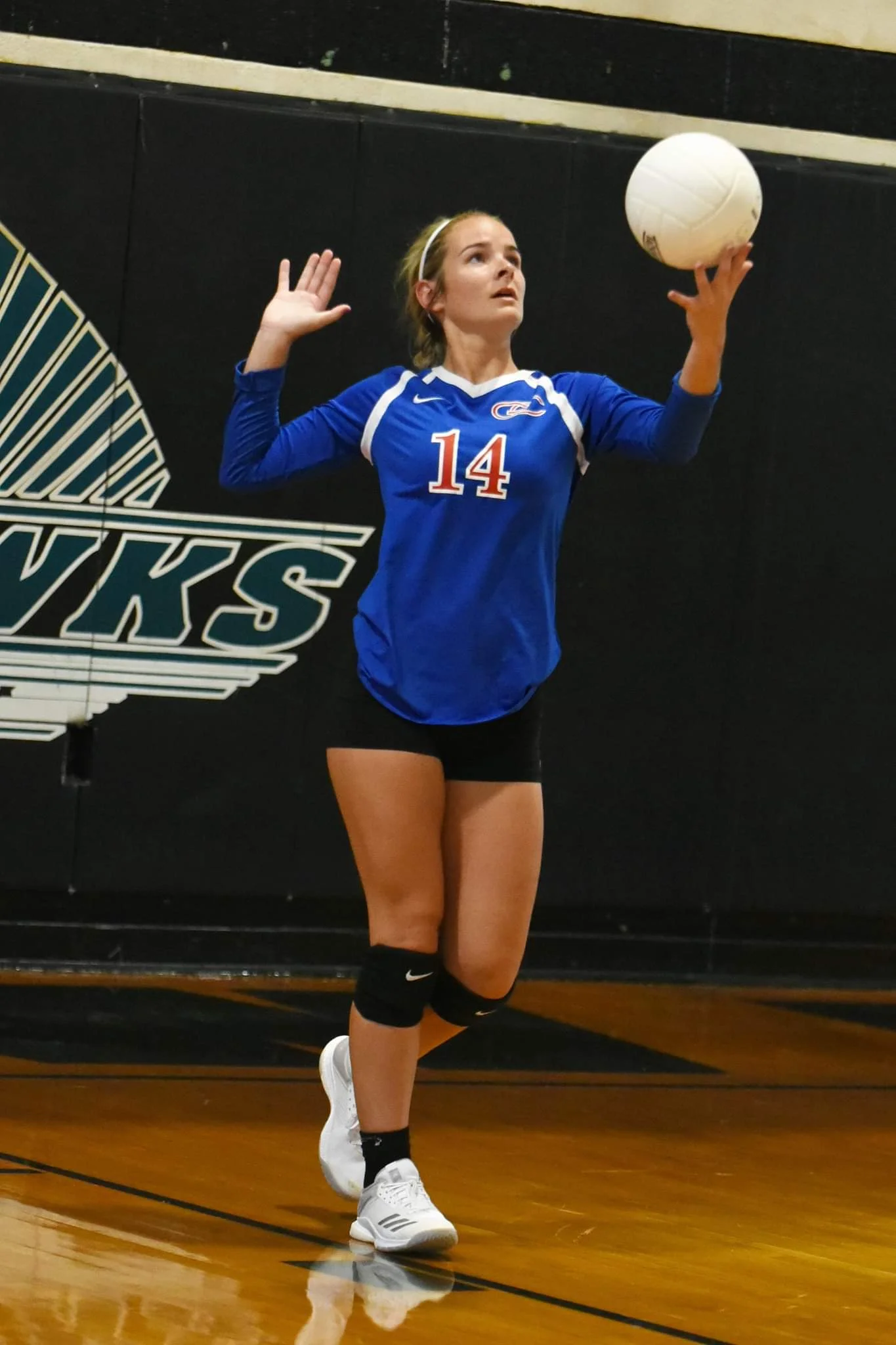 Greene Central looks to make waves in 2019