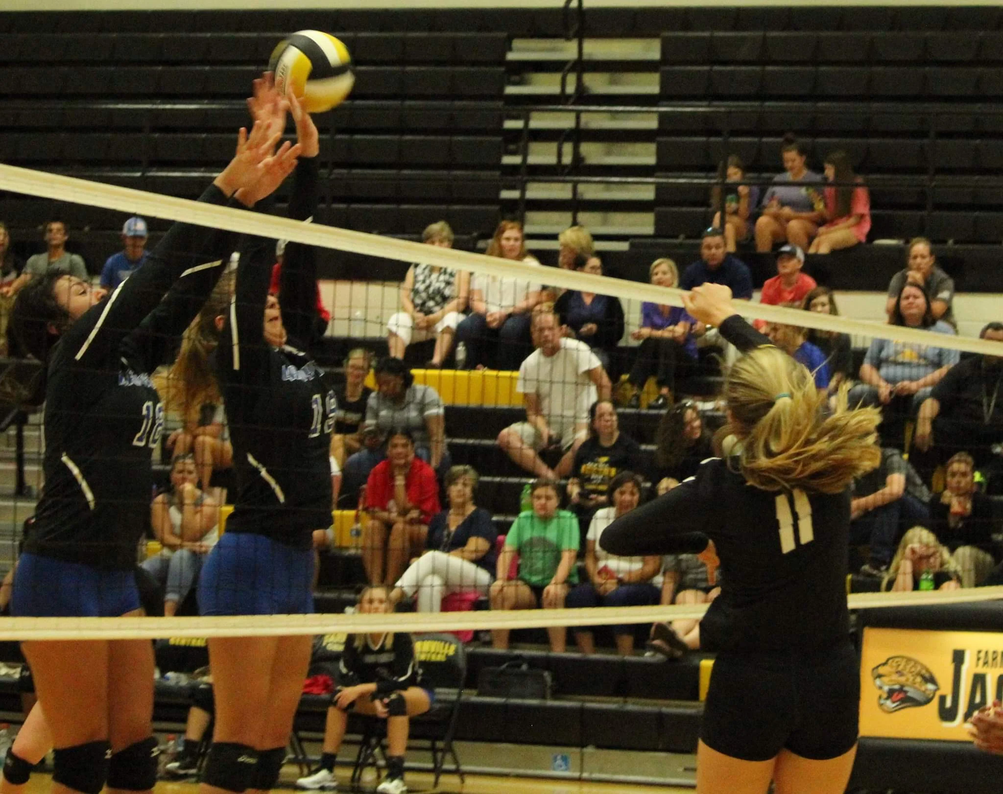 Greene Central falls to Farmville Central in volleyball opener