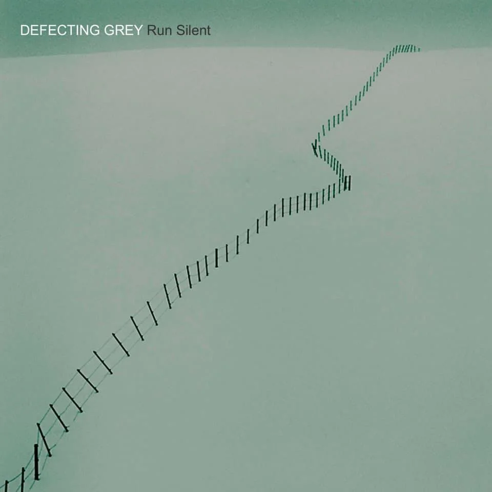 Recommended Noises: Defecting Grey, Robert Randolph, Tanya Tucker and Elephant9