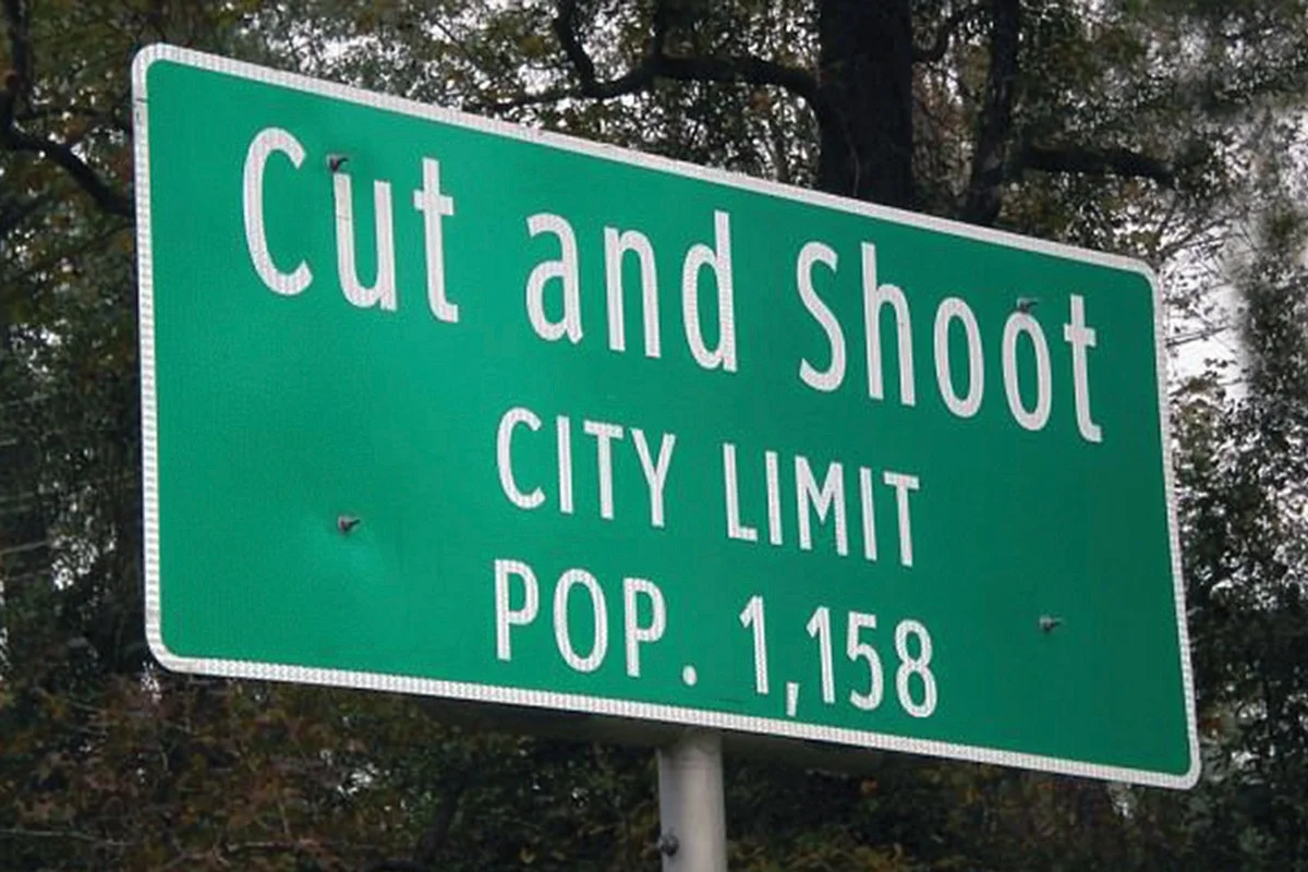 cut and shoot2.jpg