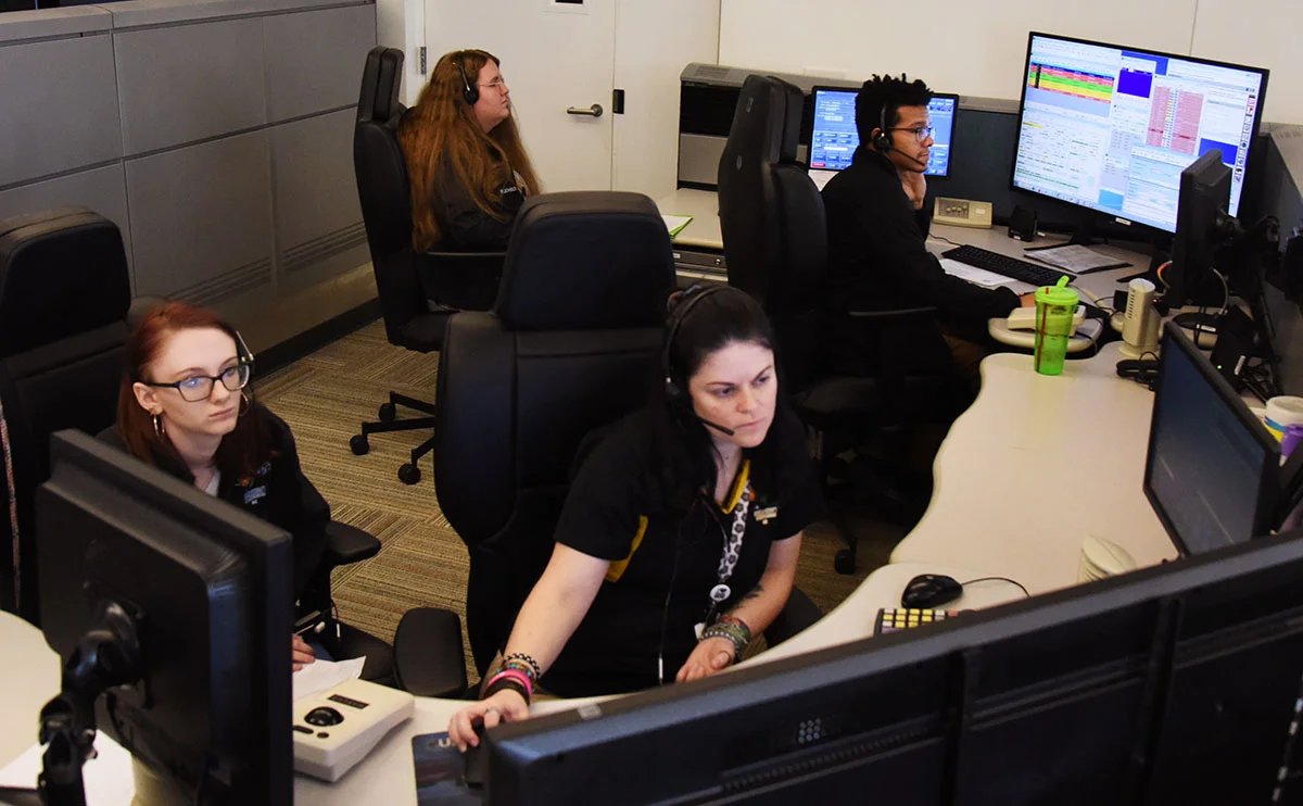 Job shadowing answers basic career questions