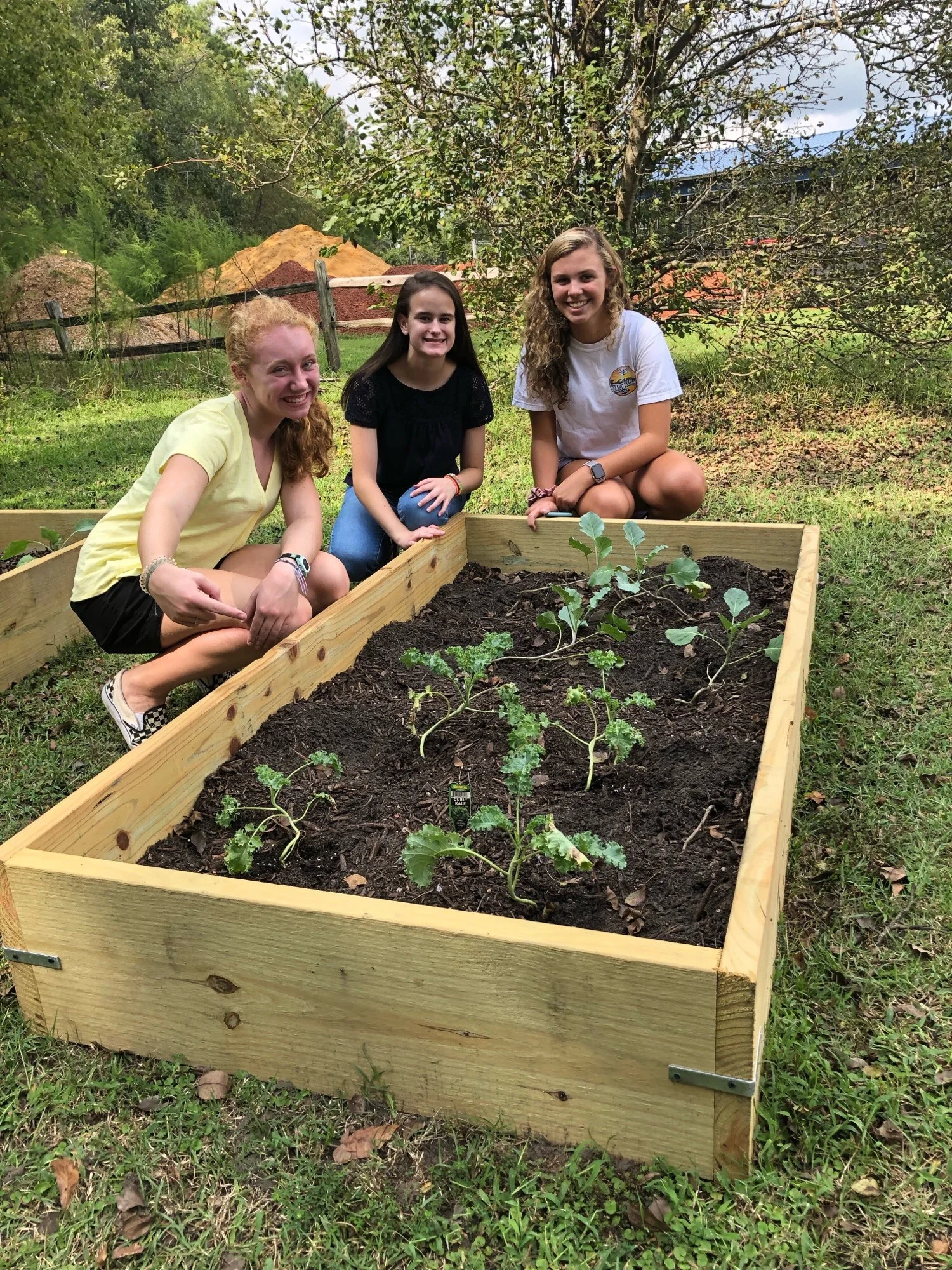 Parrott 9th graders tend a raised bed of broccoli in the school’s new vegetable garden (Left to right) Killen Harper, Mary Frances Fields, and Kat Owsley. 252-560-5893 (c )