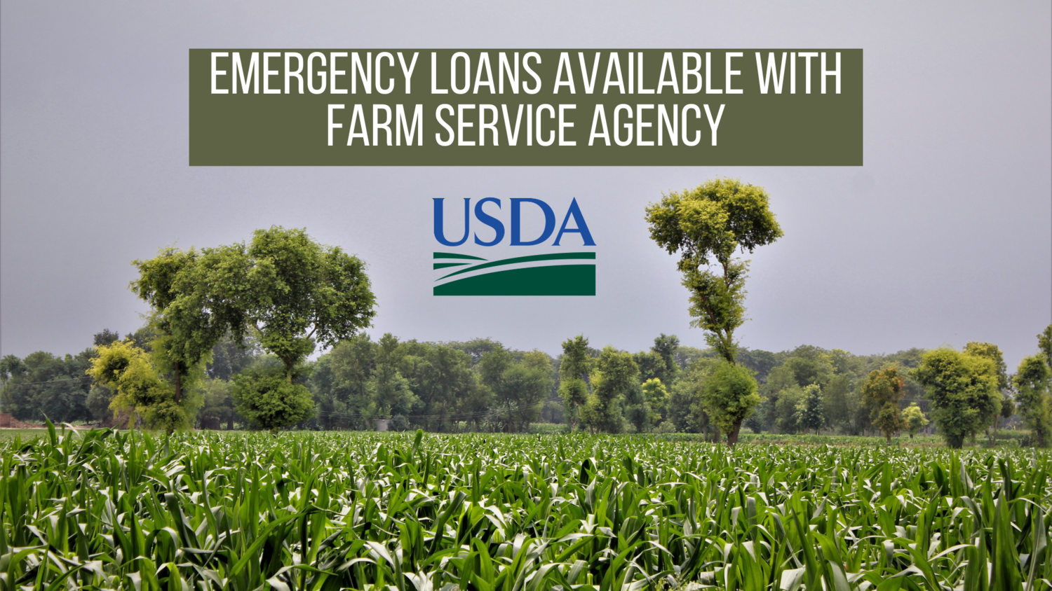 Emergency loans available with Farm Service Agency