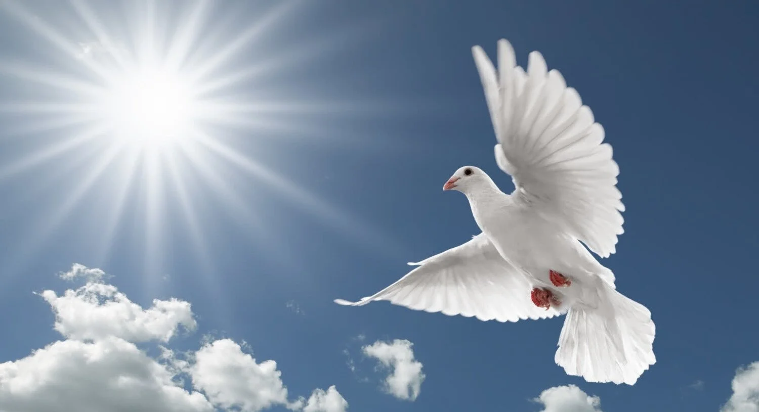 Obituary: George Kenneth (Ken) Johnson,Sr. 