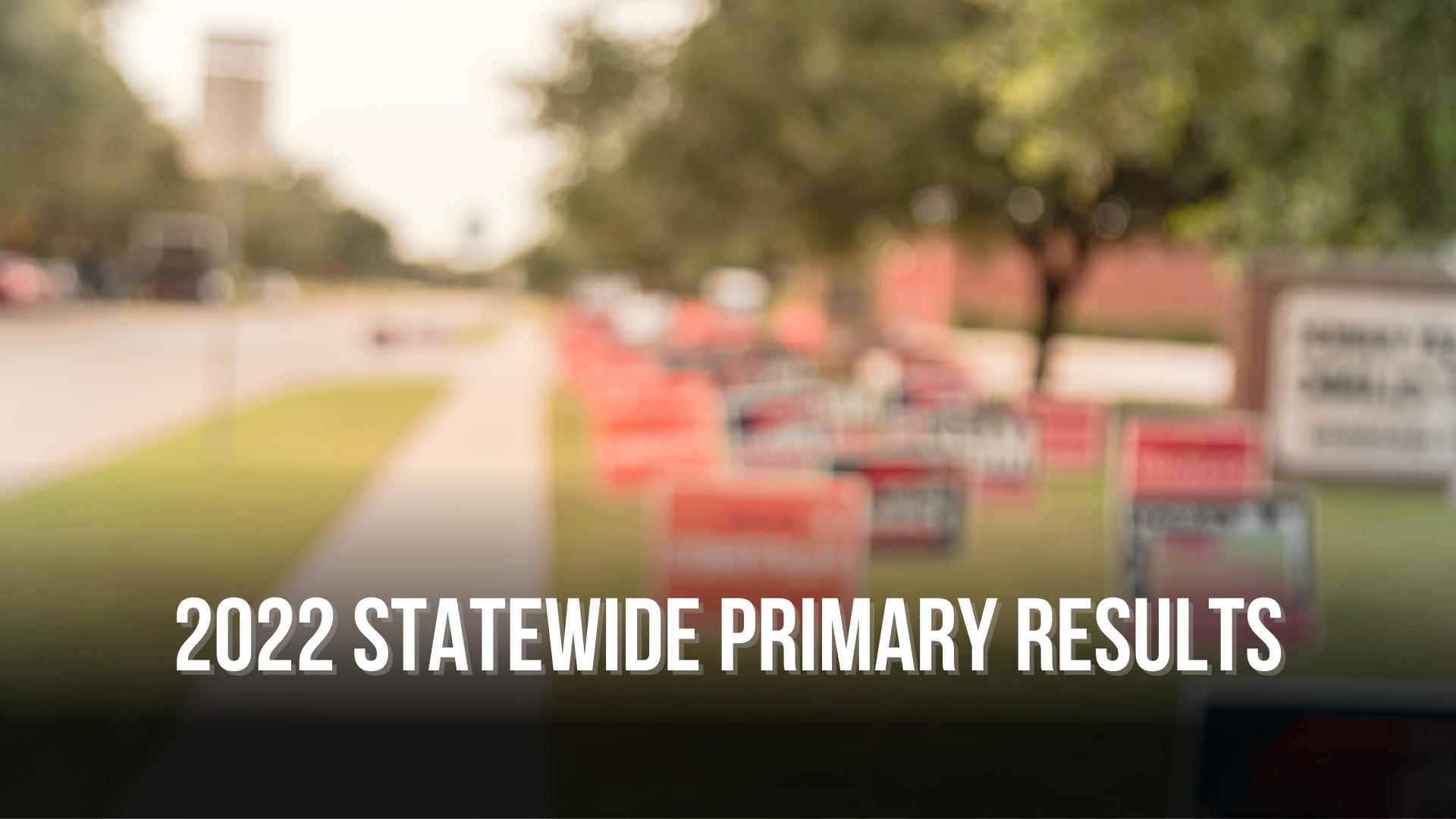2022 statewide Primary Results