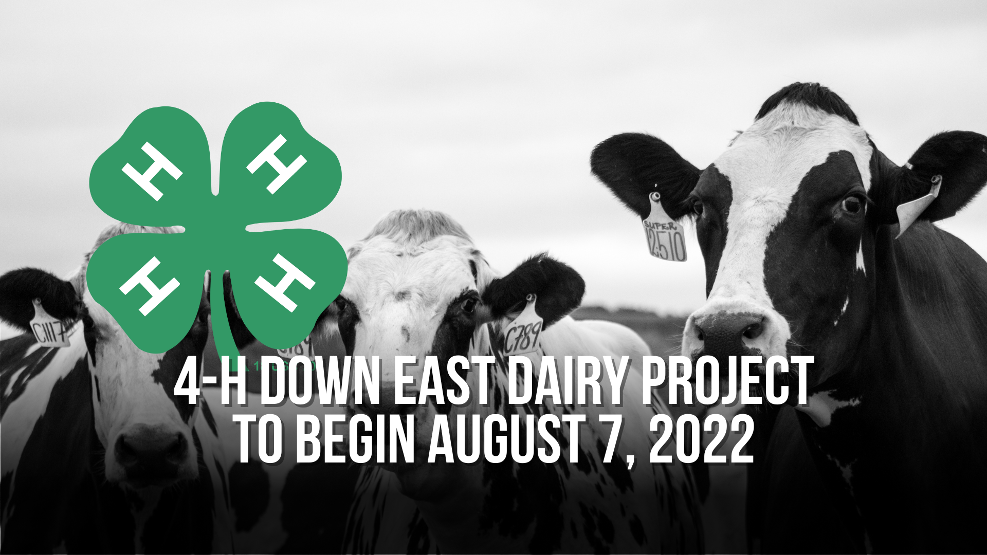 4H Down East Dairy Project to begin August 7, 2022 — Neuse News