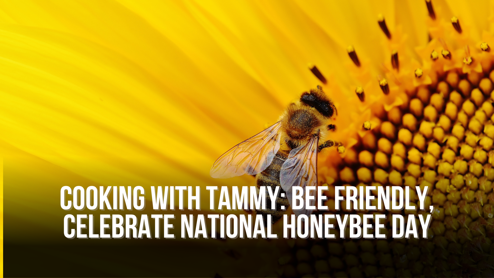 Cooking with Tammy: Bee Friendly, Celebrate National Honeybee Day ...