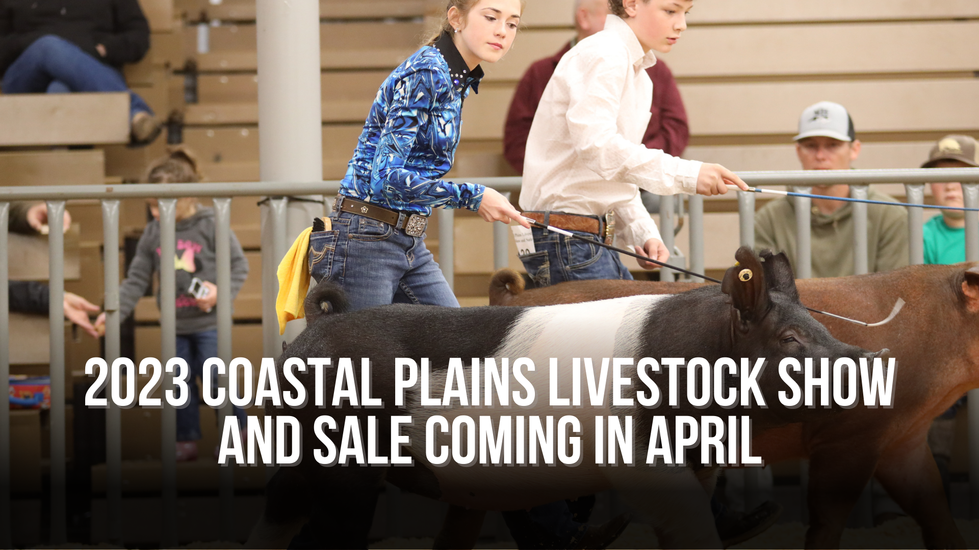 2023 Coastal Plains Livestock Show and Sale coming in April