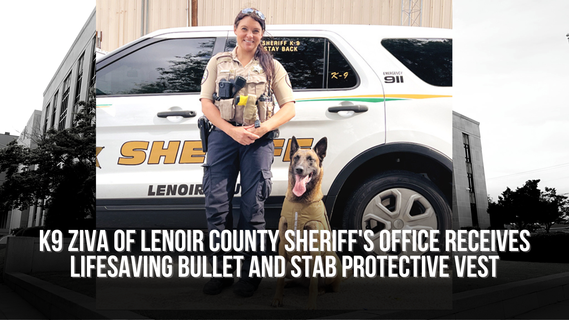 K9 Ziva of Lenoir County Sheriff's Office receives lifesaving bullet and stab protective vest