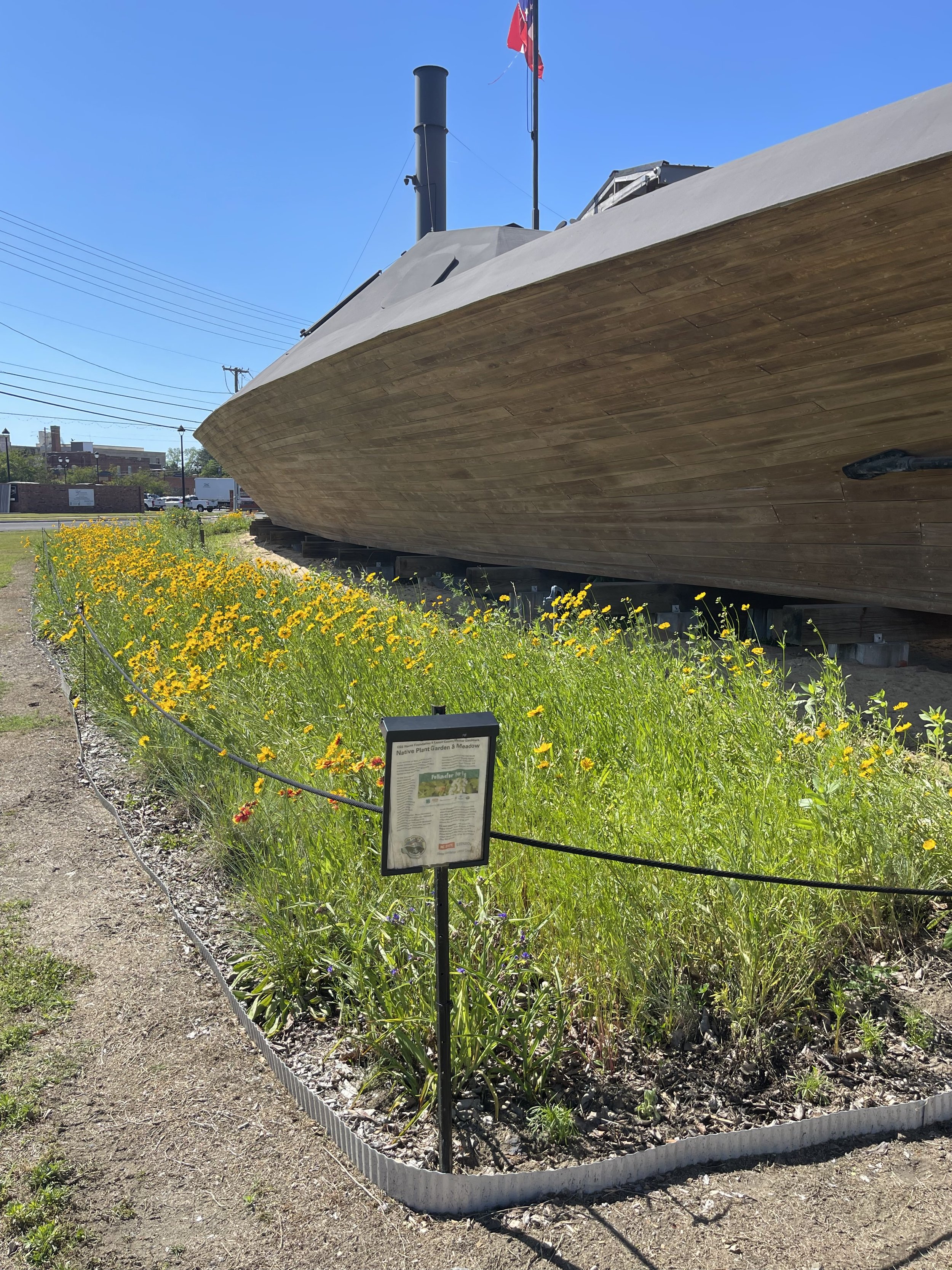 The Native Plant Garden and Meadow developed by our Master Gardener Volunteers has several varieties of native flowers in full bloom currently.