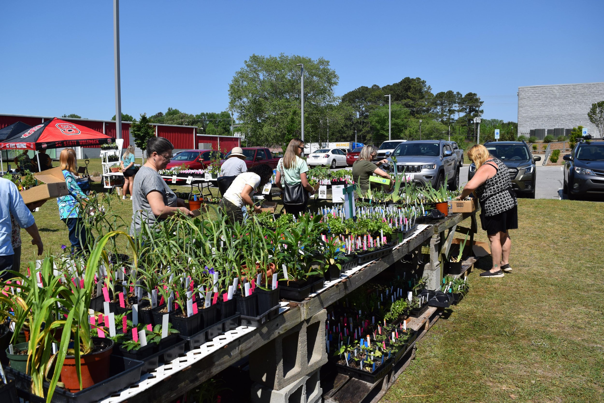 A small visual of our plant sale offerings and several patrons shown during our Saturday sale. 