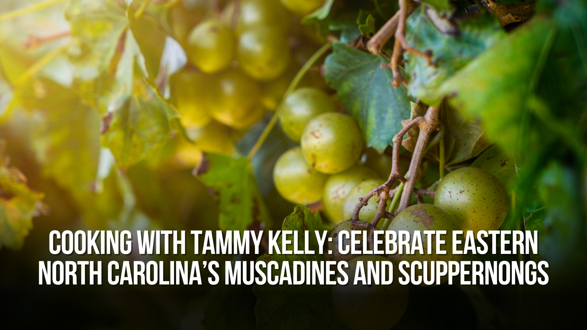 Cooking with Tammy Kelly: Celebrate Eastern North Carolina’s Muscadines and Scuppernongs