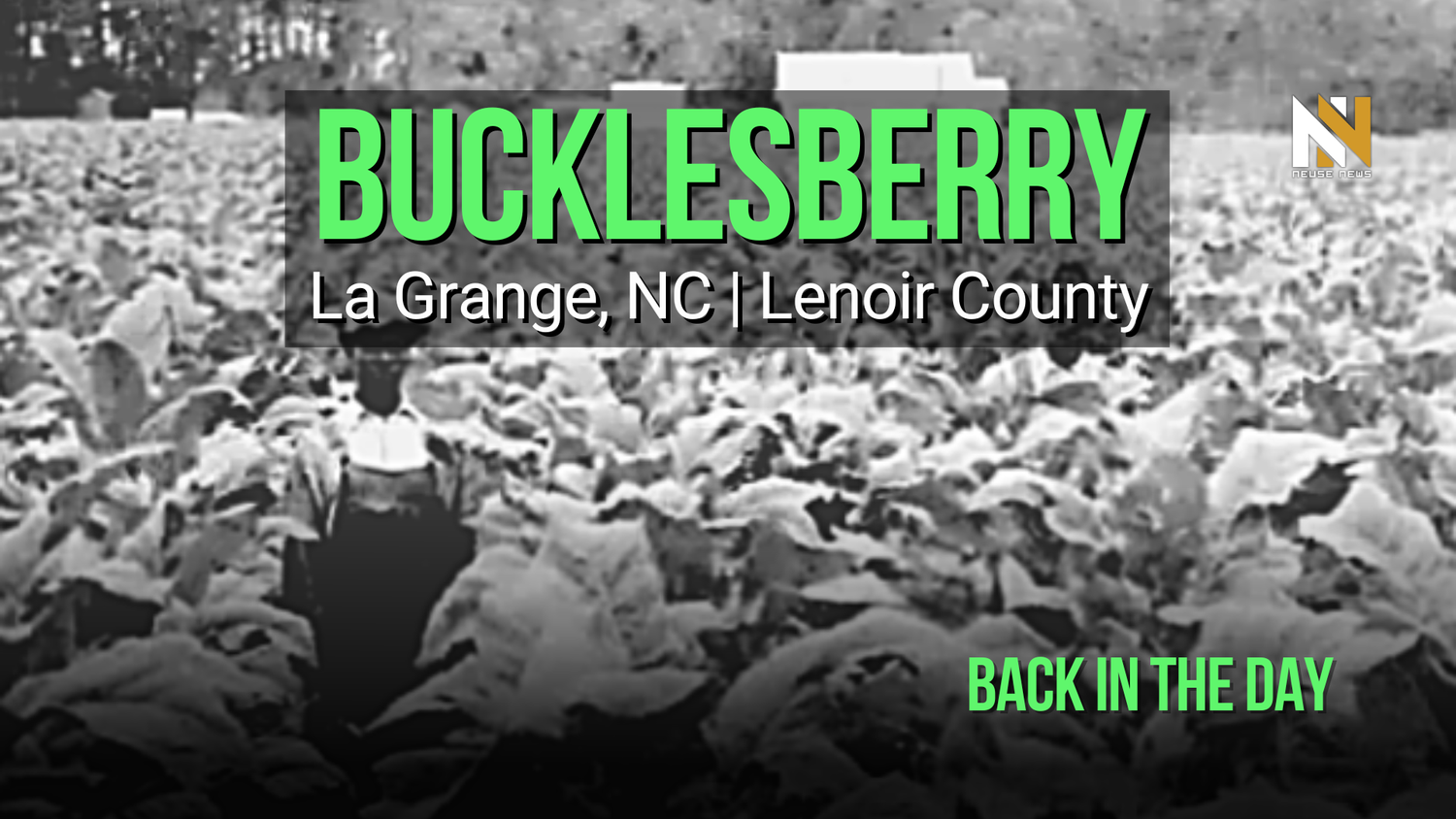 Bucklesberry, Back in the Day: Early Settlers–The Suttons (Part 2)