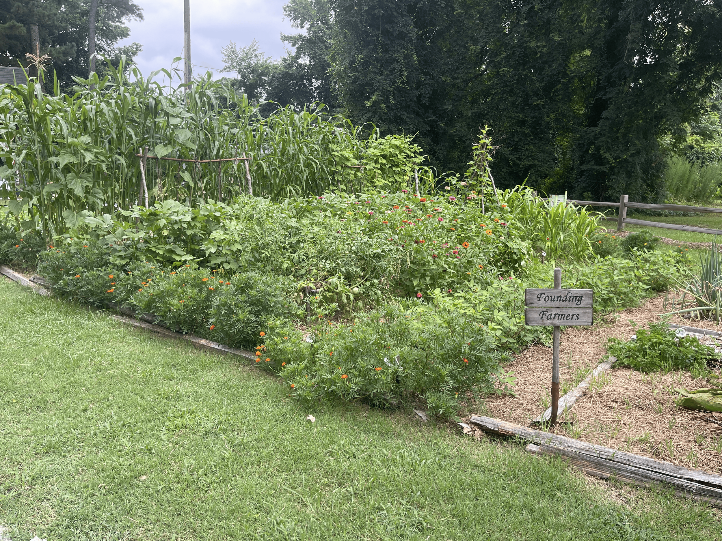 IMG_6440 (1).png