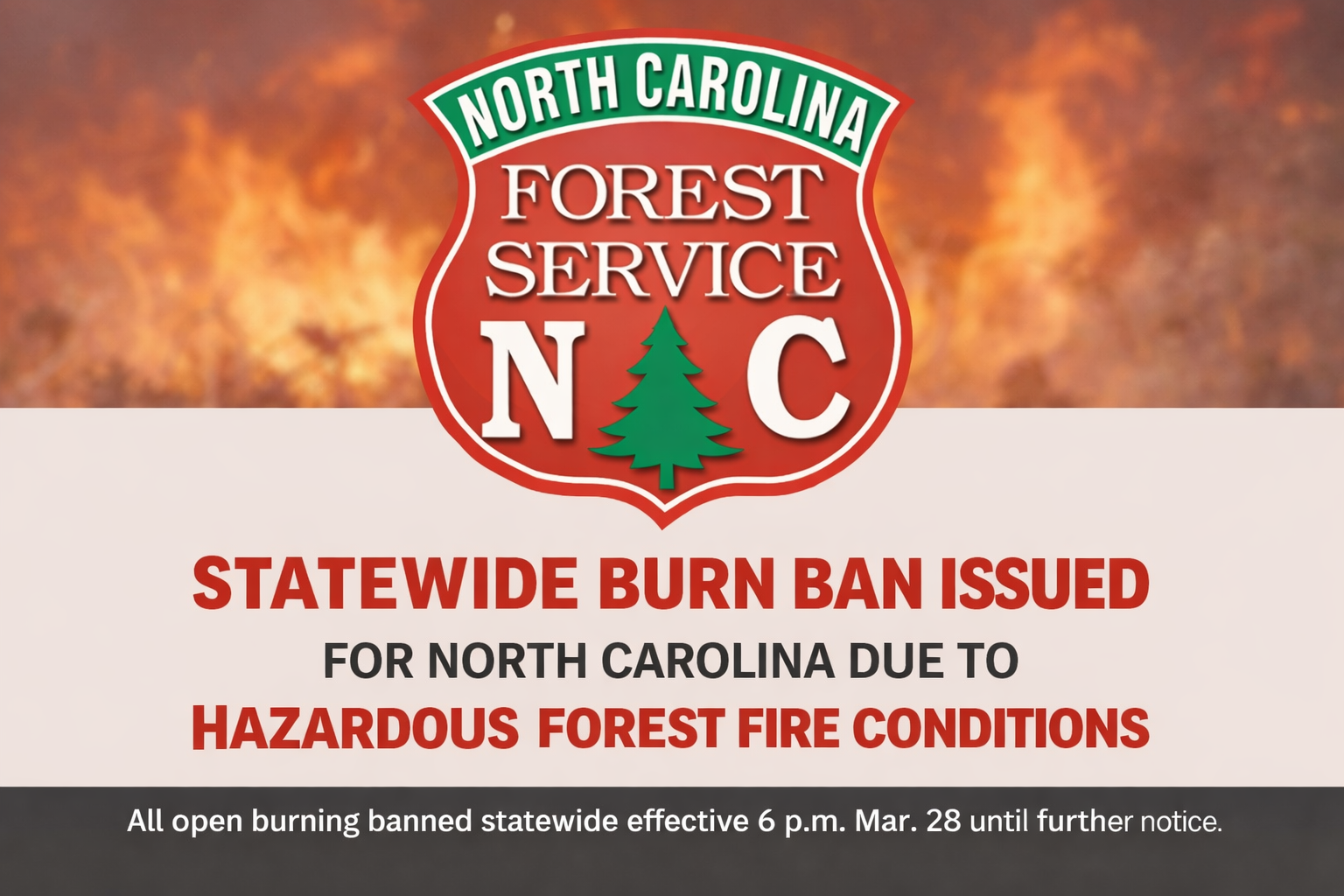 Statewide burn ban issued for North Carolina due to hazardous forest fire conditions