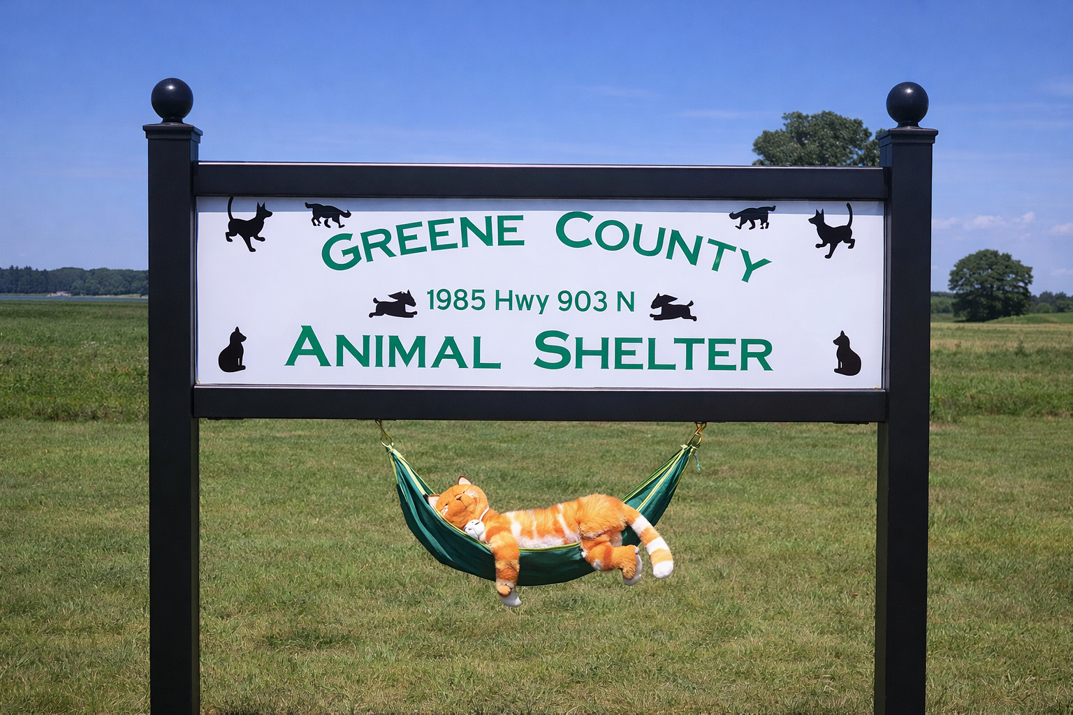 Greene County commissioners to consider accepting $70,000 bequest for animal shelter
