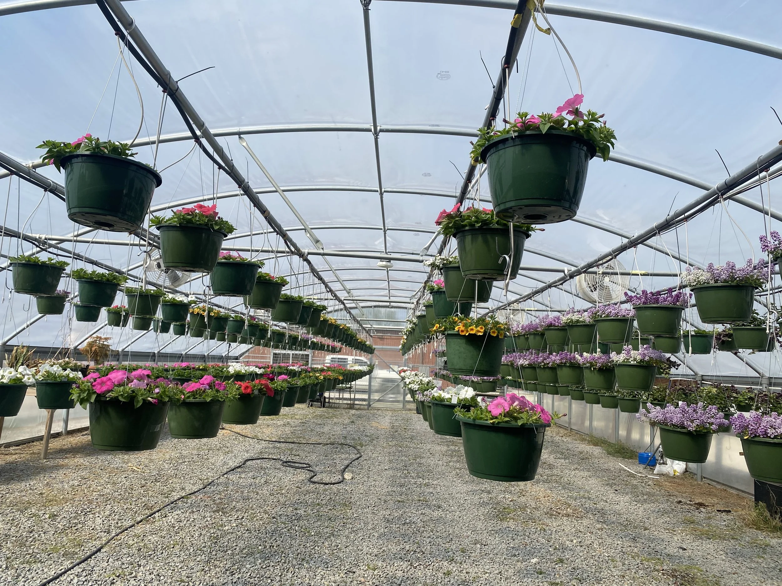 South Lenoir FFA to hold plant sale during Coach Troy Eason field dedication