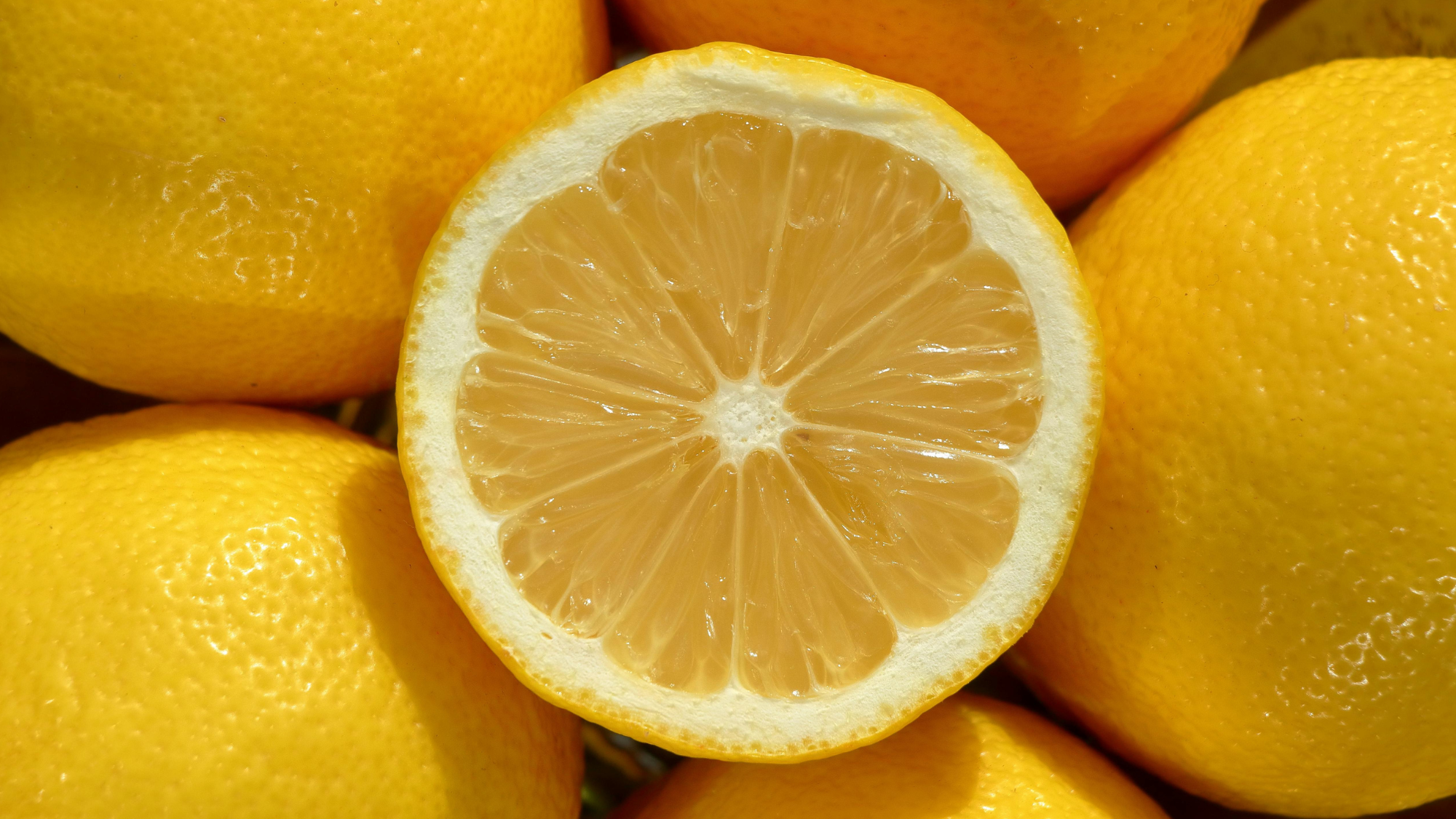 Lemon Ghug Cooking with Tammy Kelly: The bright flavor of lemon — Neuse News