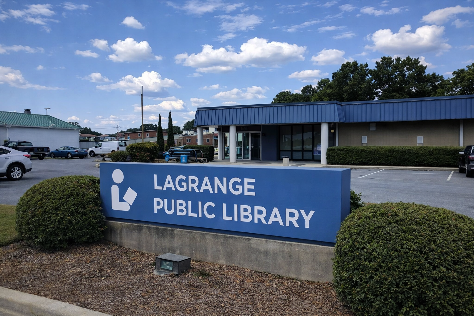 Teens Lead Internship at the La Grange Public Library