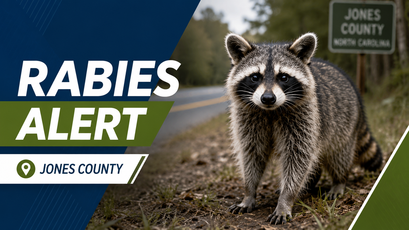 Jones County confirms positive rabies case in raccoon