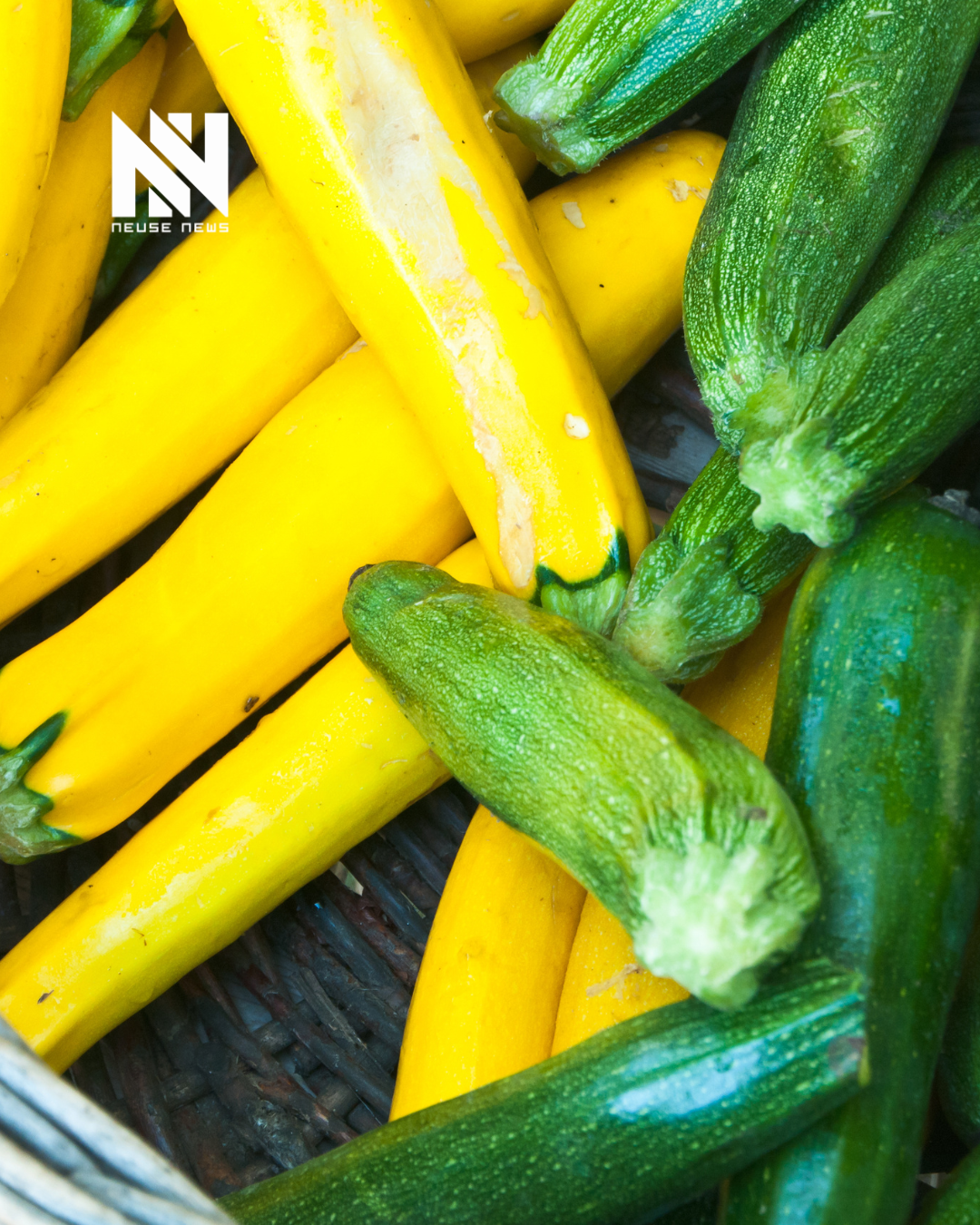 Cooking with Tammy Kelly: Cook Up All That Summer Squash