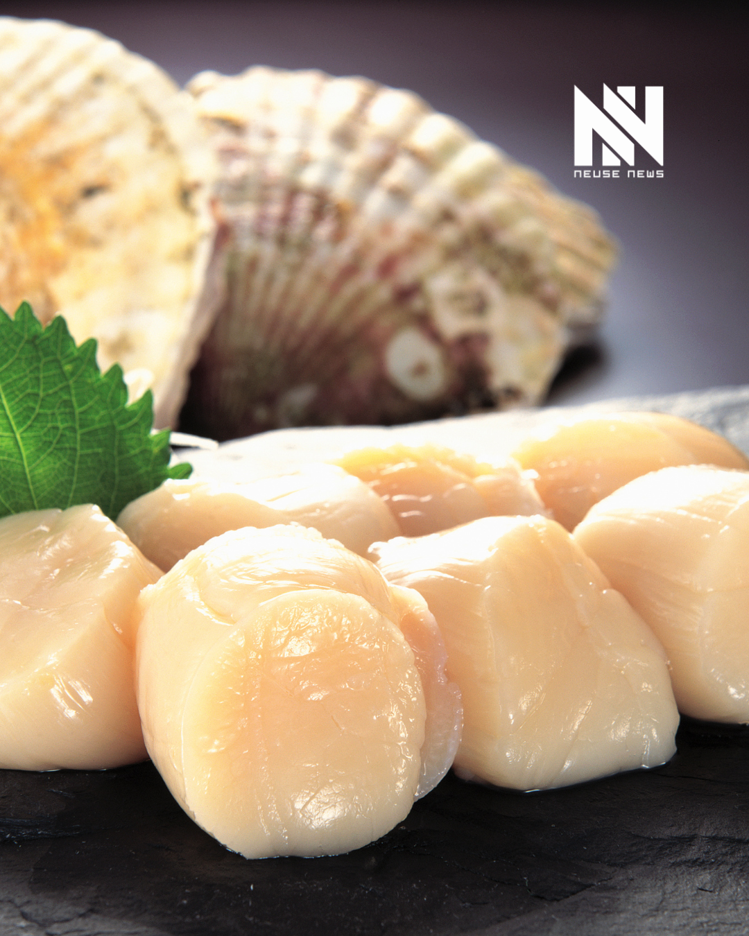 Cooking with Tammy Kelly: National Scallops Day