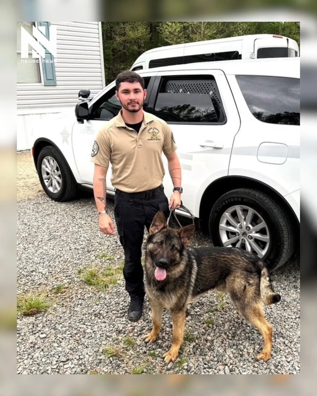 Lenoir County K-9 Fuse Recovering After Medical Emergency