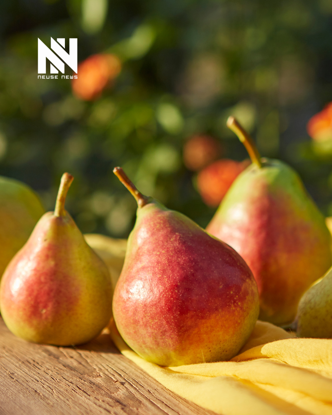 Cooking with Tammy Kelly: Pears, the Perfect Food