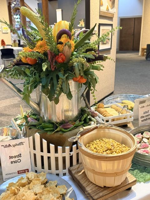 article-26-picture-02.png