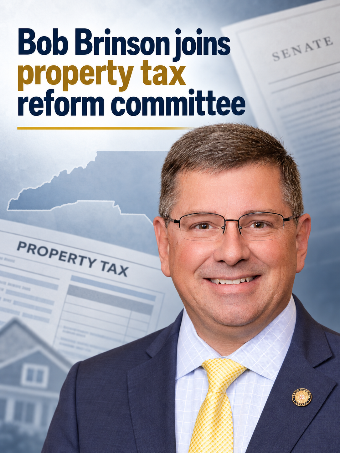 Brinson appointed to Senate property tax reform committee
