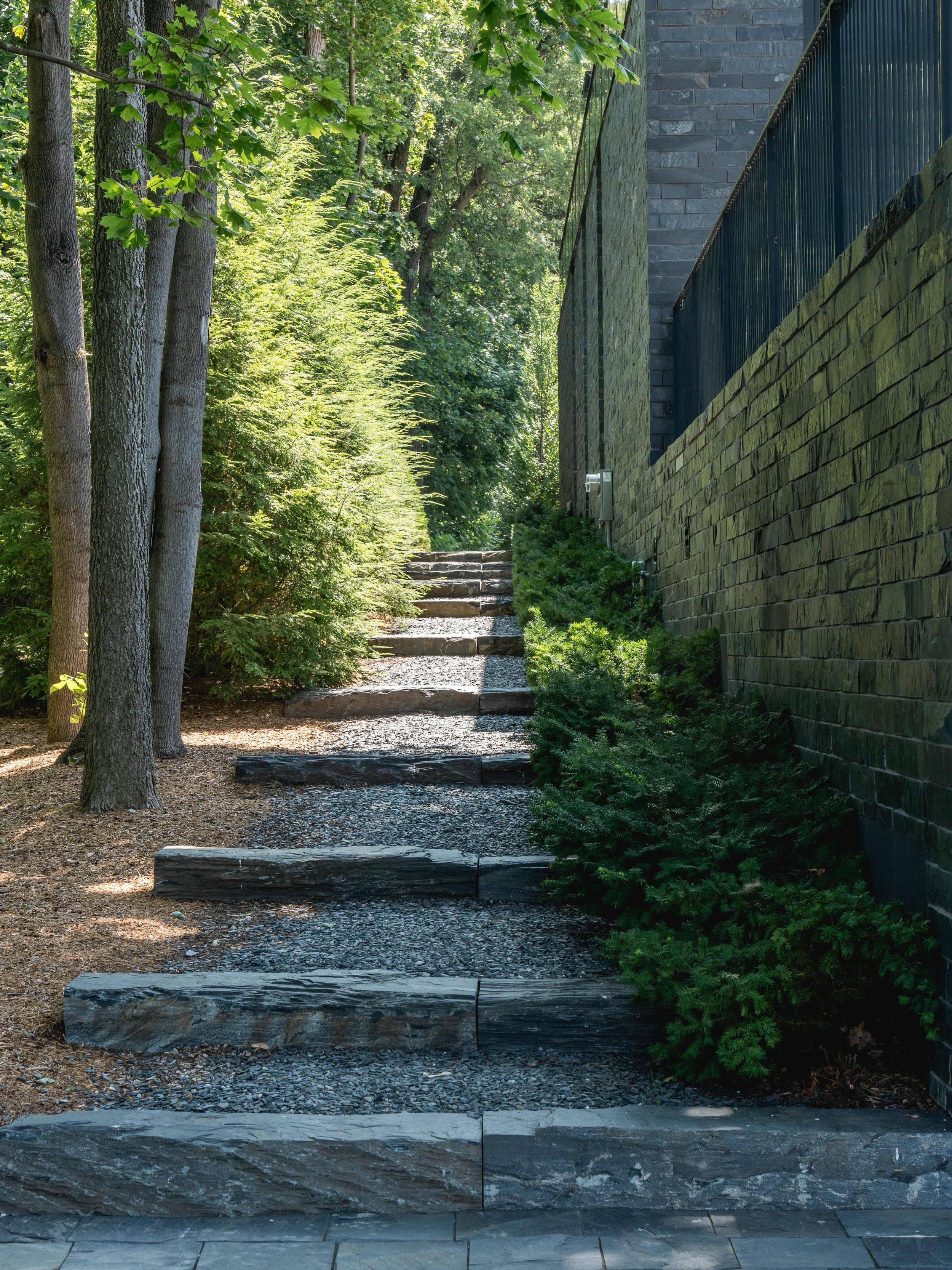 Escalier en bois menant à une maison sur un côté d'une zone boisée avec des arbres et des buissons.