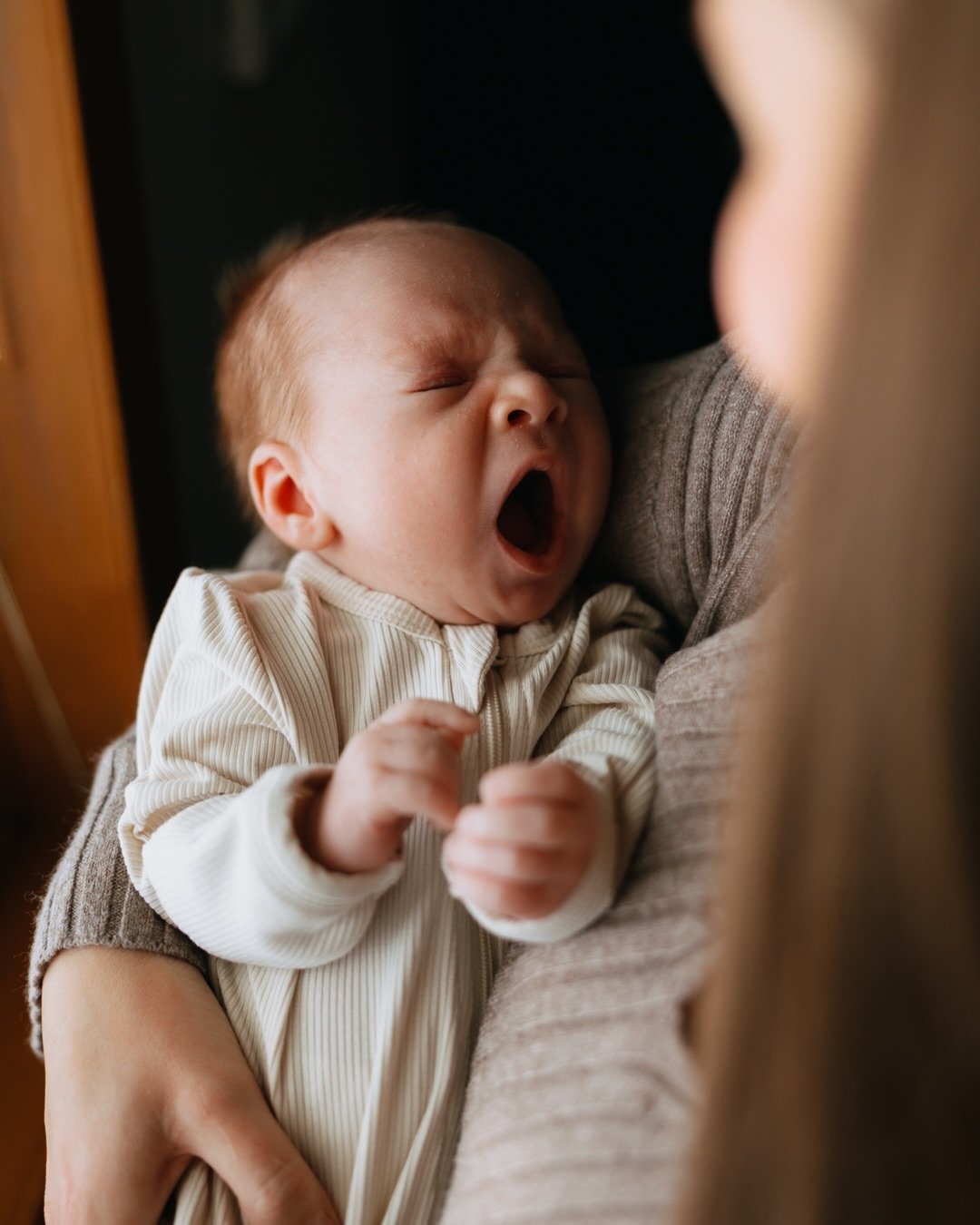 Hoffman Family🖤
.
#cedarfallsphotographer #cedarvalleyphotographer #iowaphotographer