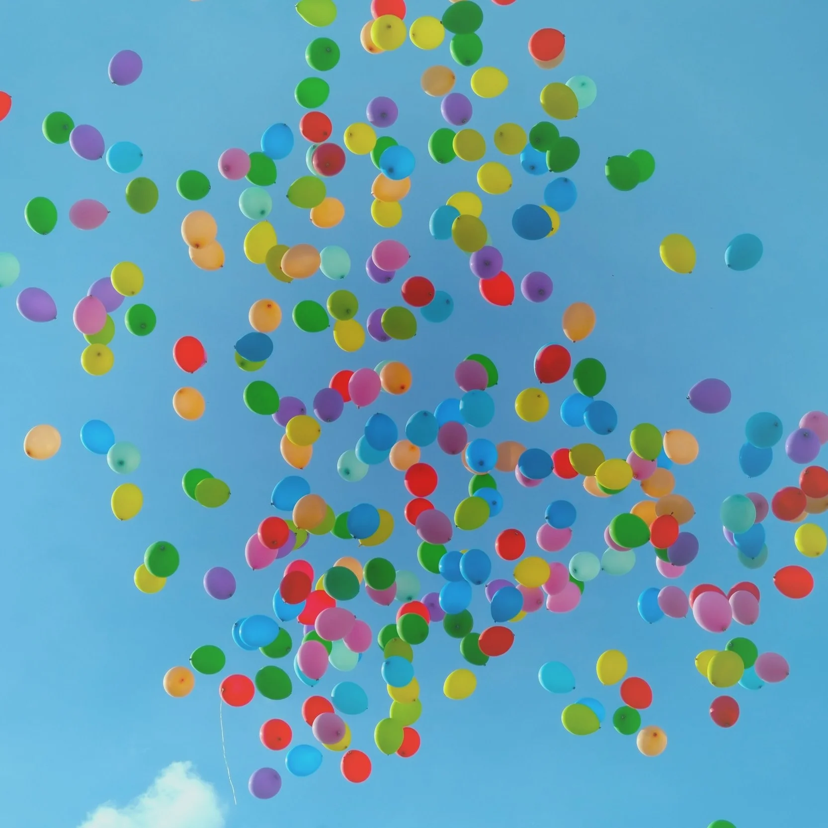 Balloons in the sky.jpg