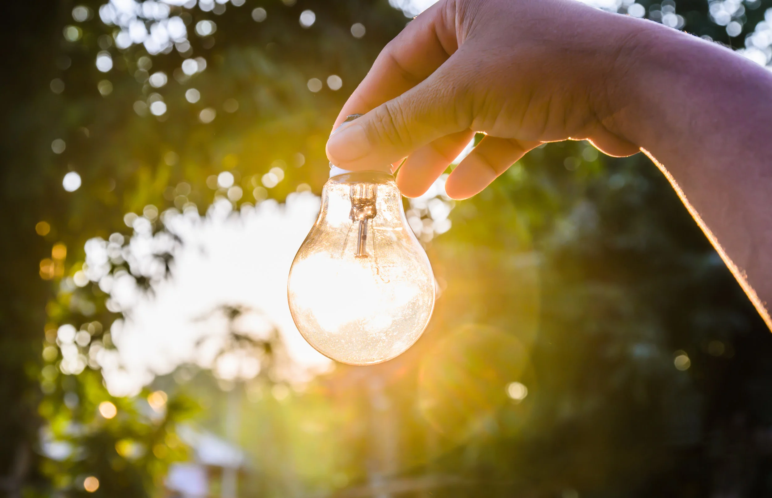 lightbulb in hand energy.jpg