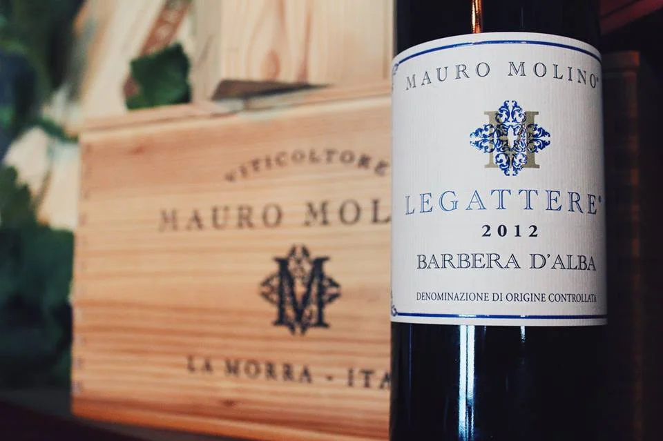 MAURO MOLINO BARBERA.jpg