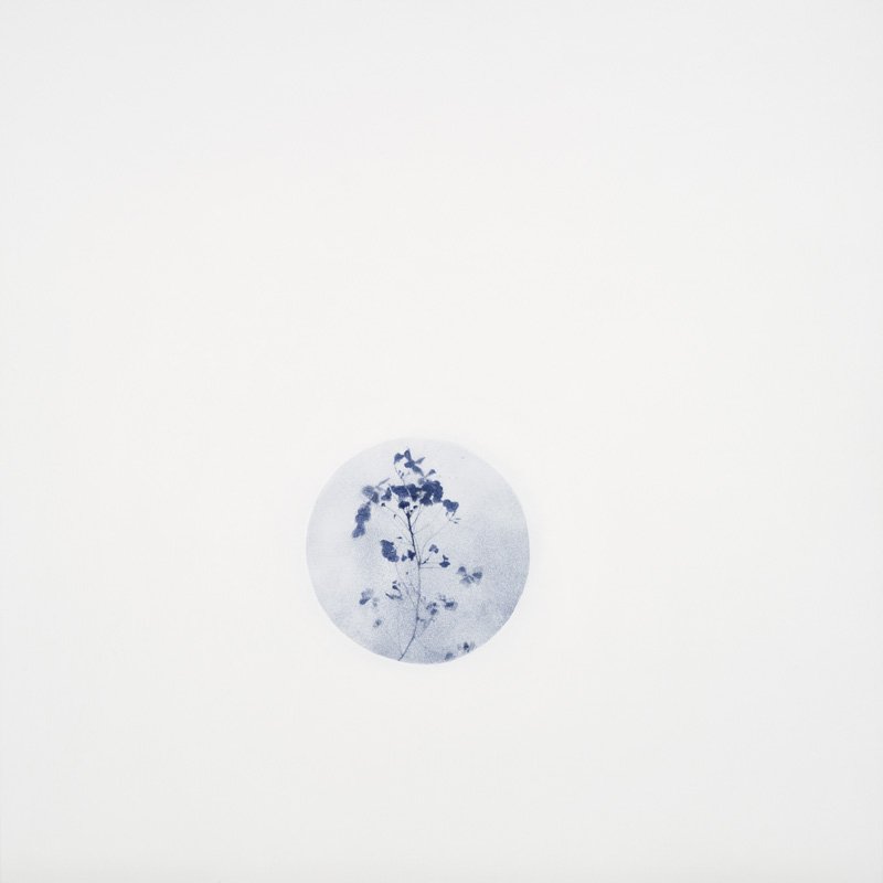 Terrain vague 02