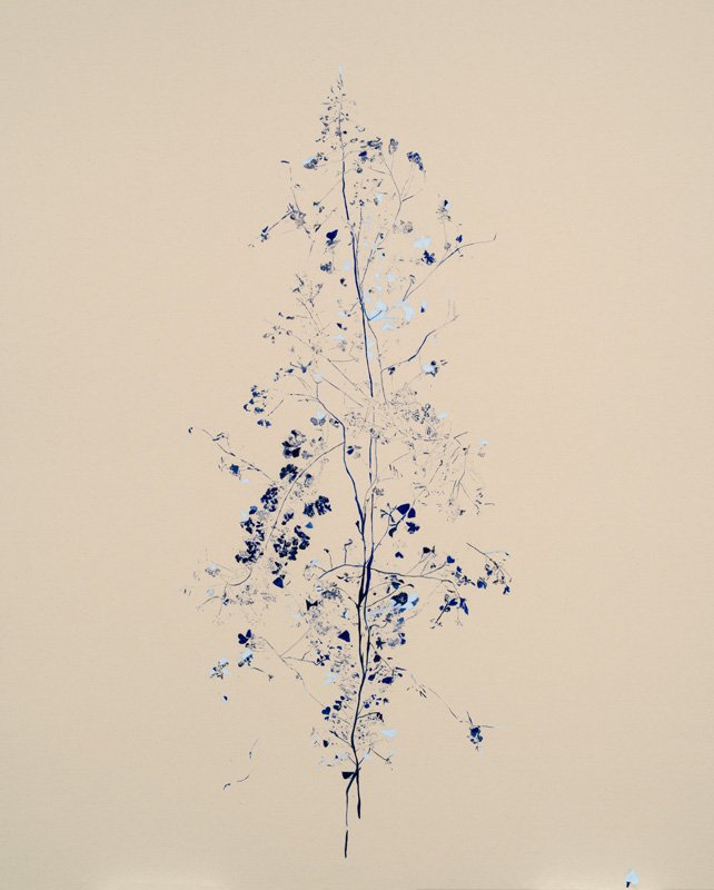 Terrain vague 05