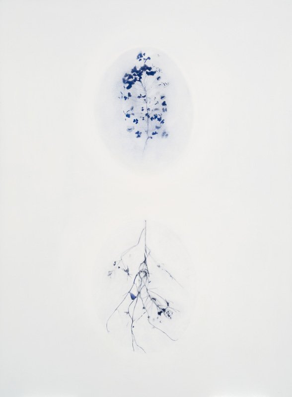 Terrain vague 07