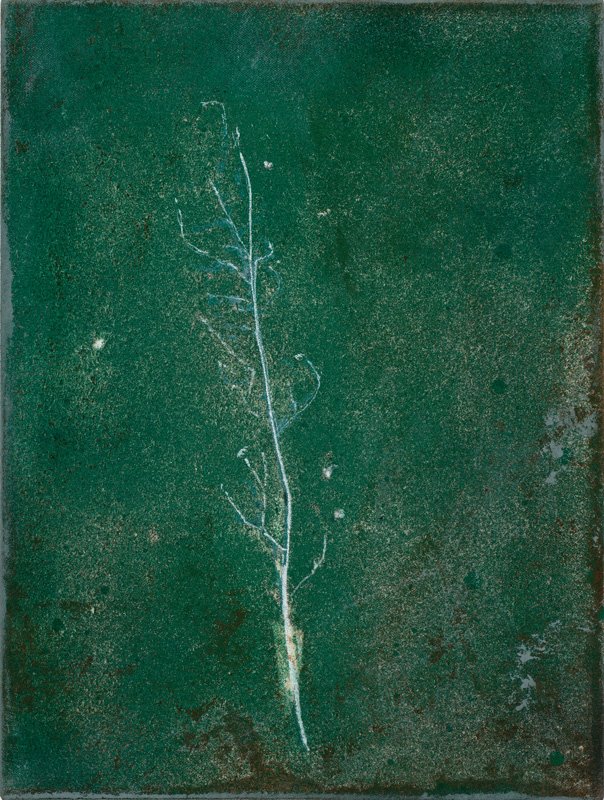 Terrain vague 19