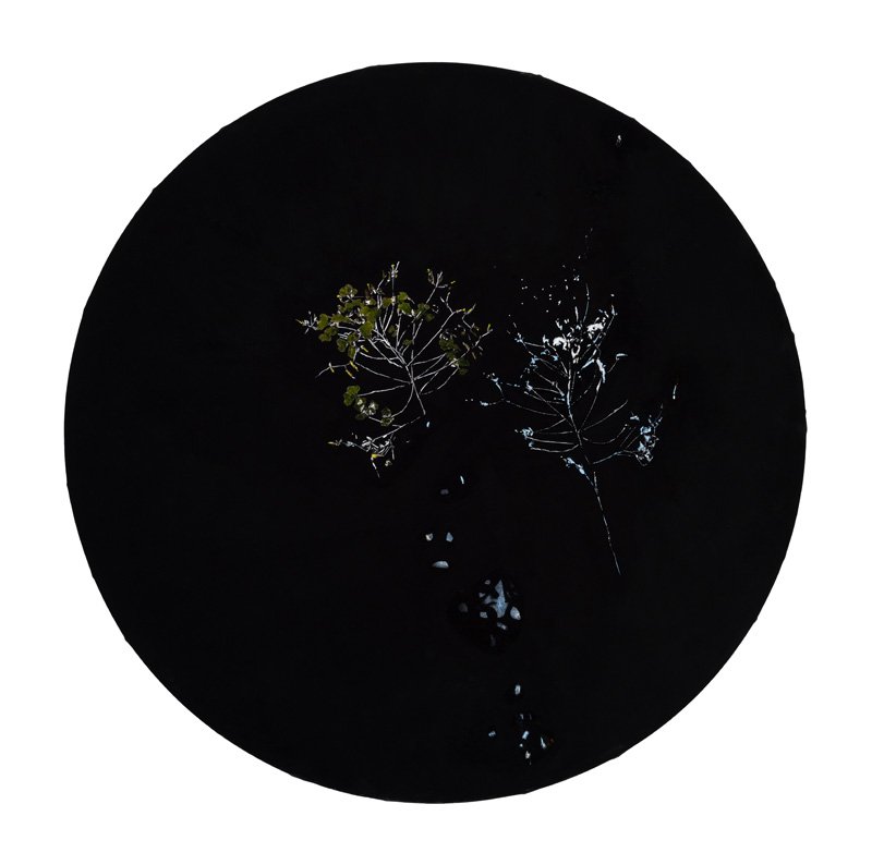 Terrain vague 04