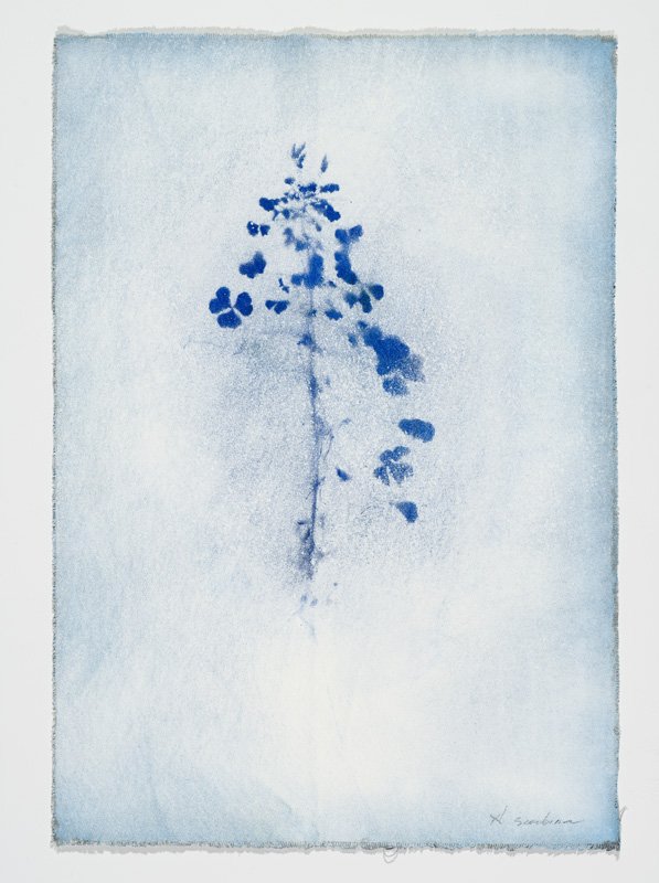 Terrain vague 46