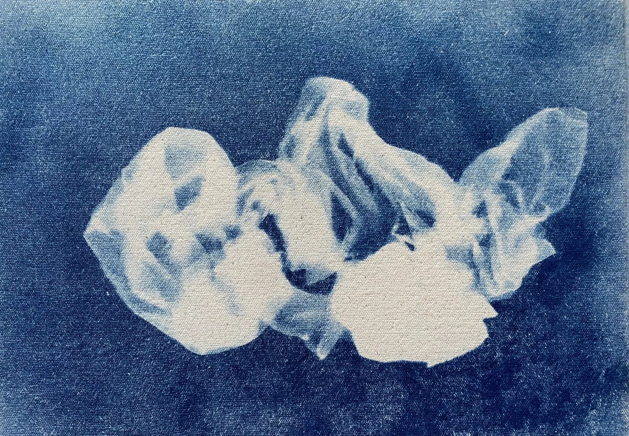 Apparition 0070