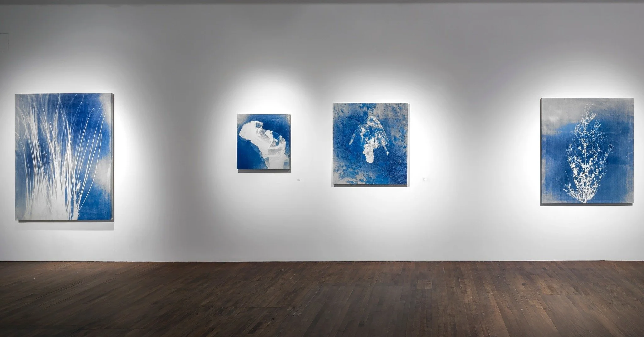   Que chaque objet bleu soit une sorte de buisson ardent, un code secret destiné à un seul agent, une croix sur une carte trop vaste pour être entièrement déployée mais qui contiendrait tout l’univers connu.    Bleuets, Maggie Nelson   Texte de Genev