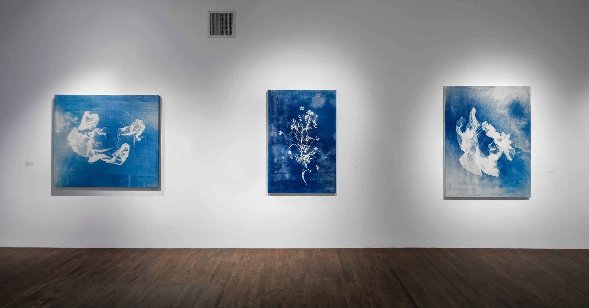  Vue de l’exposition   Tension des fluides  , Galerie Simon Blais, 2025  Photo&nbsp;: Guy LHeureux 