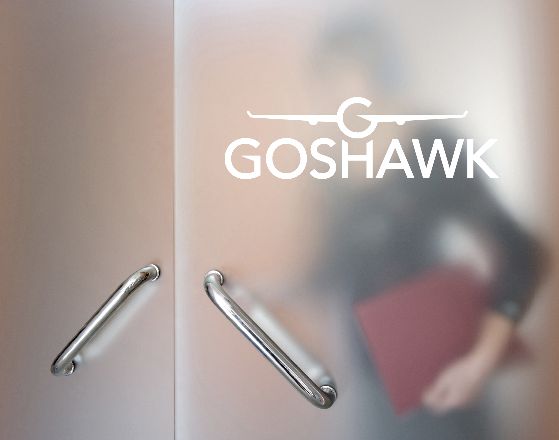 Goshawk on Glass.png